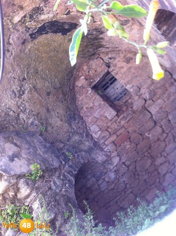 majdal3asqlan519 (10).JPG